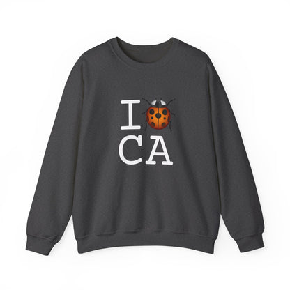 "I Ladybug California" Sweatshirt