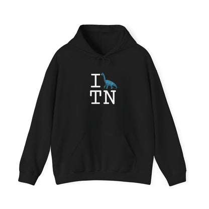"I'm a Dinosaur in Tennessee" Hoodie