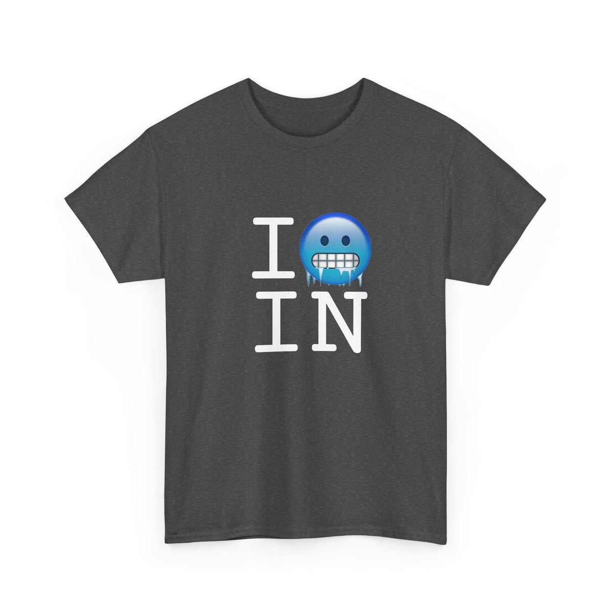 "I'm Cold in Indiana" Tee