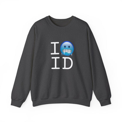 "I'm Cold in Idaho" Sweatshirt
