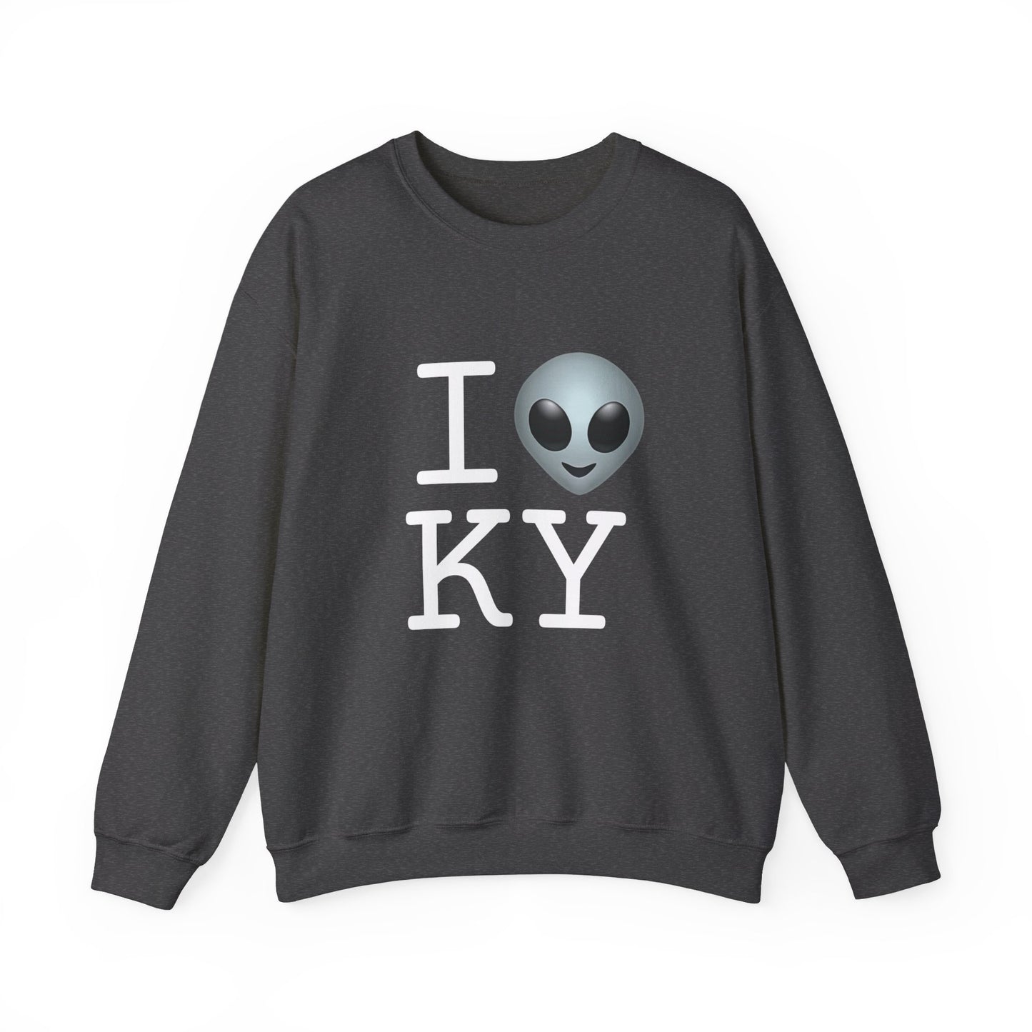 "I Feel Alien in Kentucky" Sweatshirt