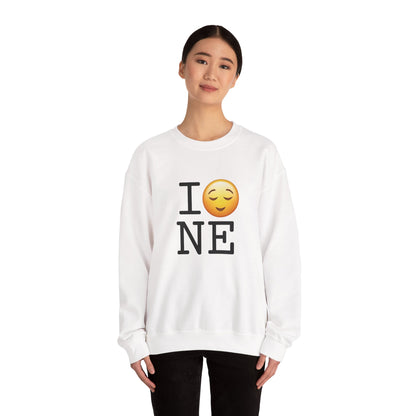 "I'm Relieved about Nebraska" Sweatshirt