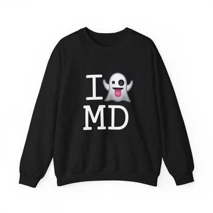 "I'm Ghosting Maryland" Sweatshirt