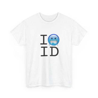 "I'm Cold in Idaho" Tee