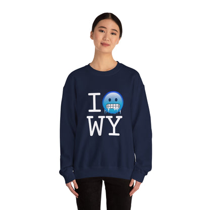 "I'm Cold in Wyoming" Sweatshirt