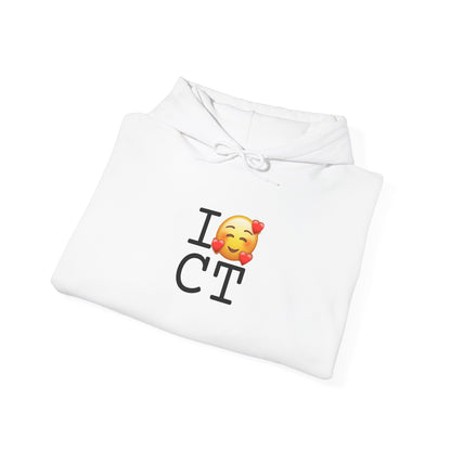 "I Adore Connecticut" Hoodie