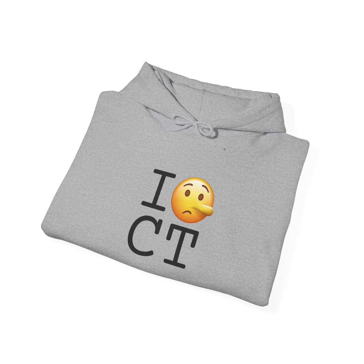 "I Lie about Connecticut" Hoodie