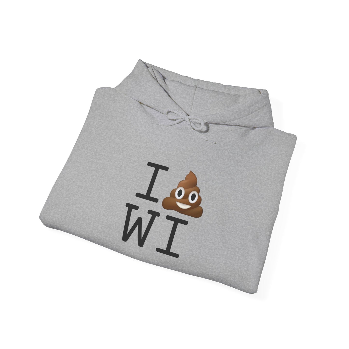 "I Poop in Wisconsin" Hoodie