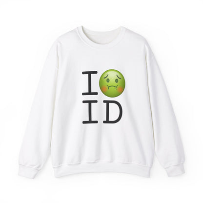 "I'm Nauseous about Idaho" Sweatshirt