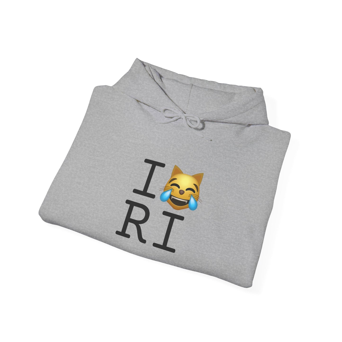 "I'm Laughing like a Cat at Rhode Island" Hoodie