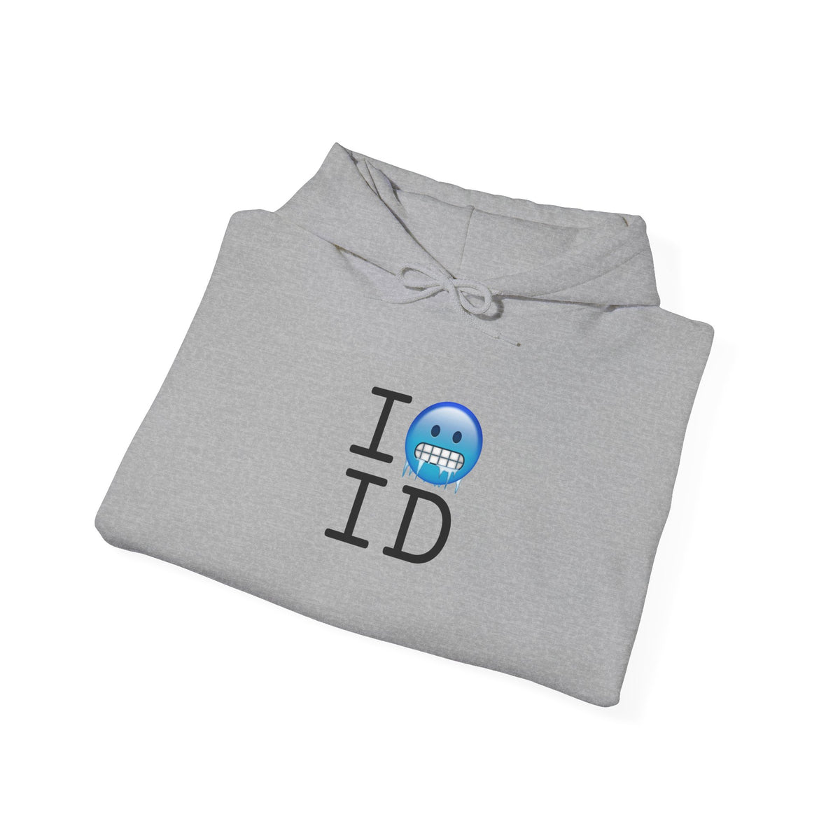 "I'm Cold in Idaho" Hoodie