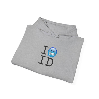 "I'm Cold in Idaho" Hoodie