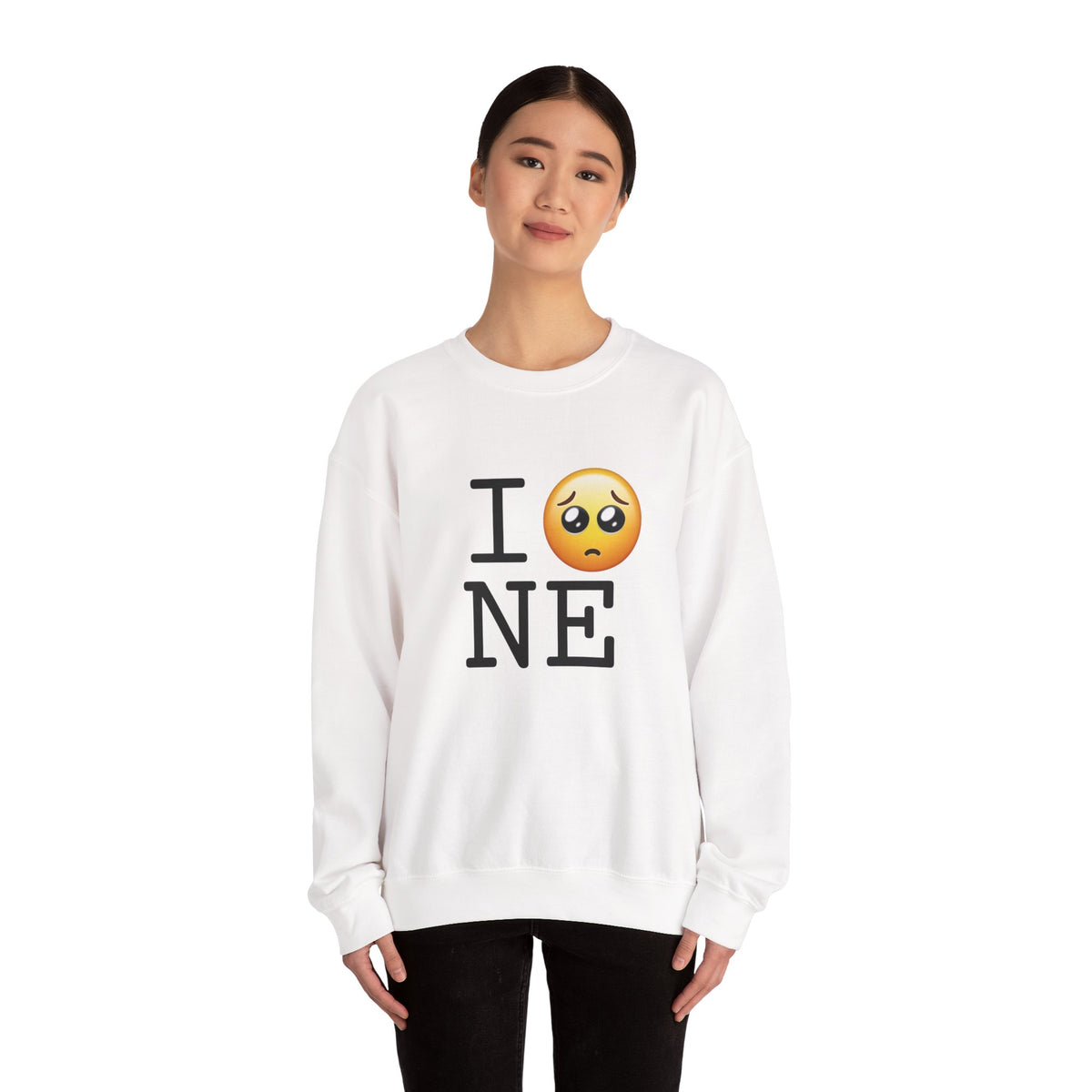 "I'm Begging about Nebraska" Sweatshirt