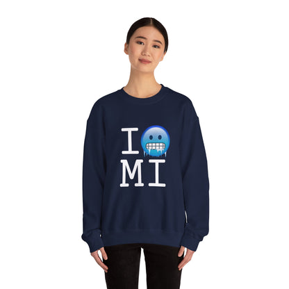 "I'm Cold in Michigan" Sweatshirt