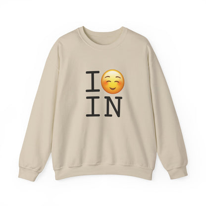 "I Blush at Indiana" Sweatshirt