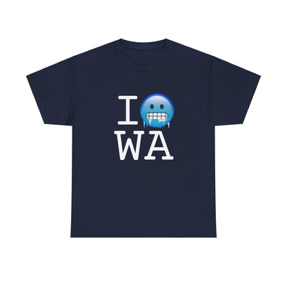 "I'm Cold in Washington" Tee