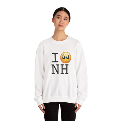 "I'm Begging about New Hampshire" Sweatshirt