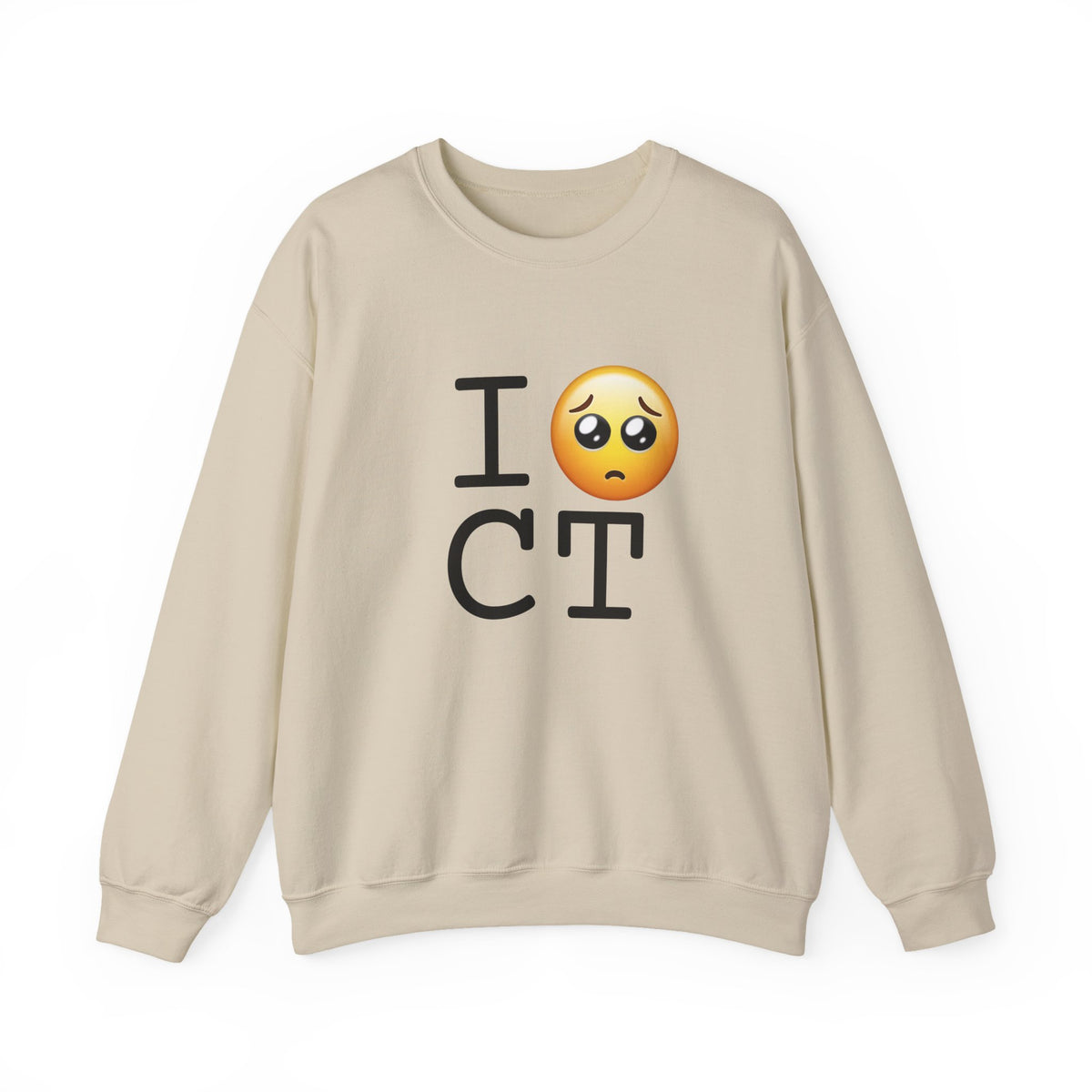"I'm Begging about Connecticut" Sweatshirt
