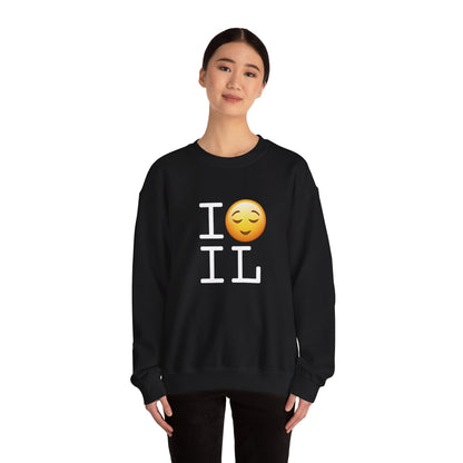 "I'm Relieved about Illinois" Sweatshirt
