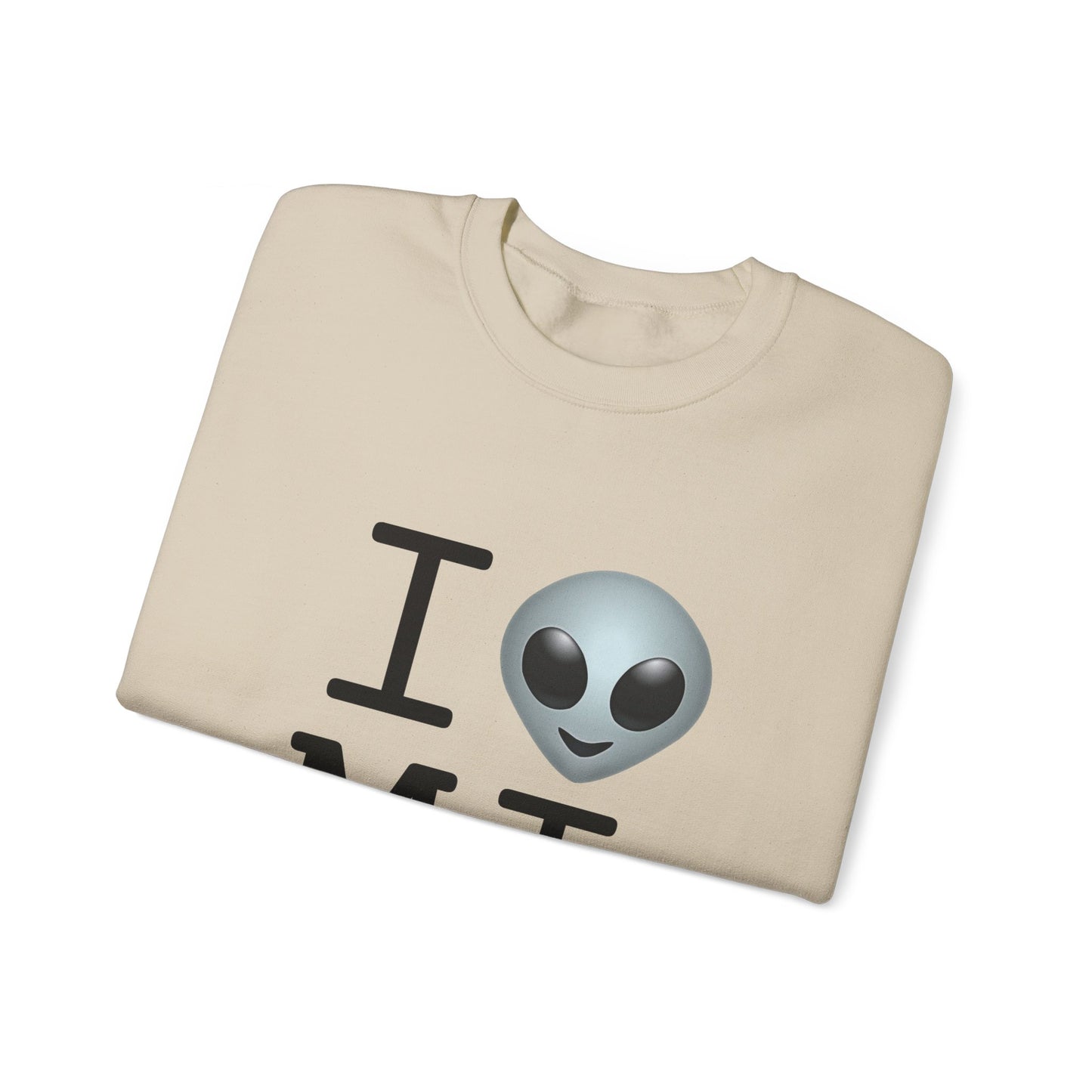 "I Feel Alien in Michigan" Sweatshirt