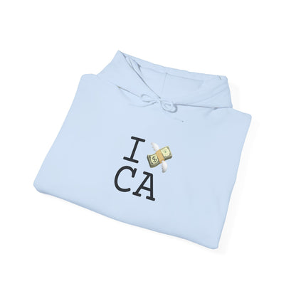 "I Lose Money in California" Hoodie