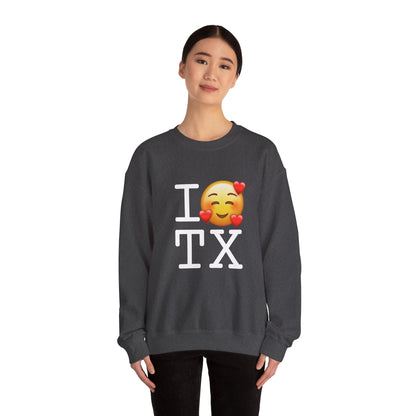 "I Adore Texas" Sweatshirt