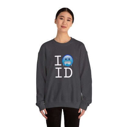 "I'm Cold in Idaho" Sweatshirt