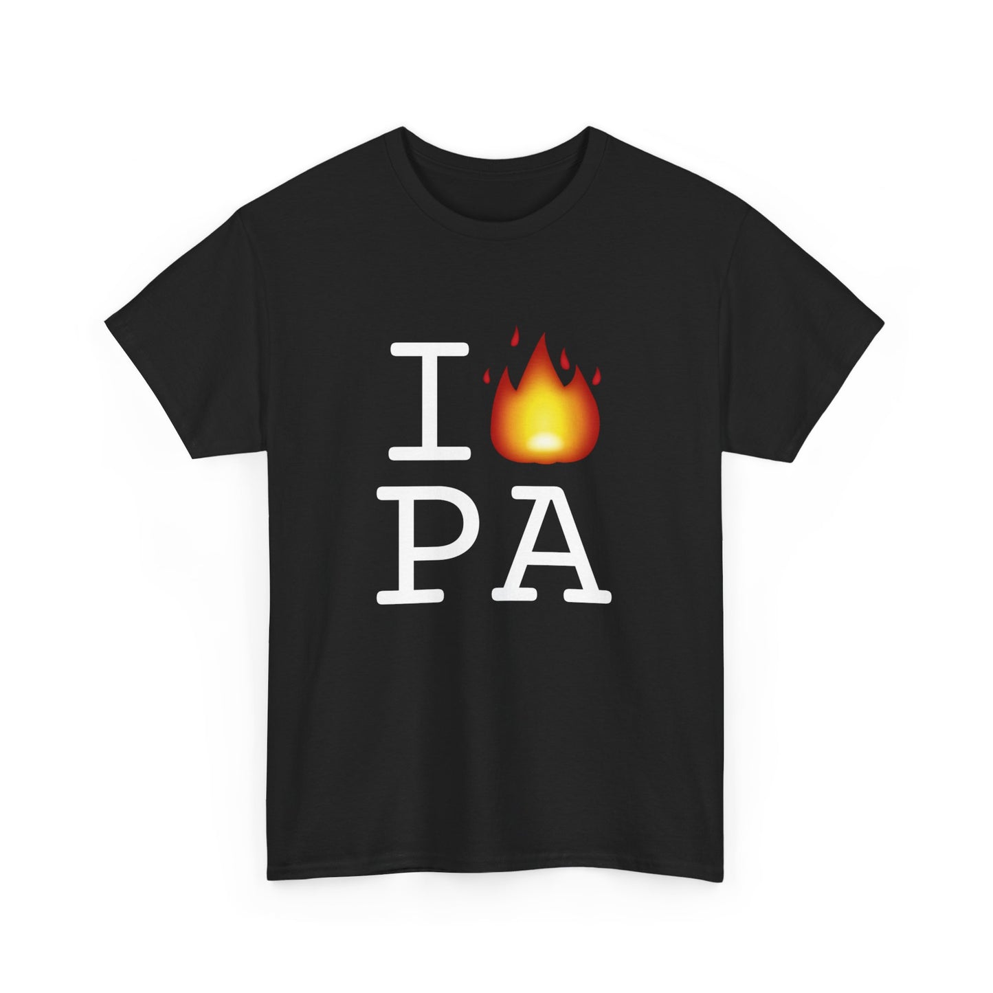 "I've got Fire for Pennsylvania" Tee