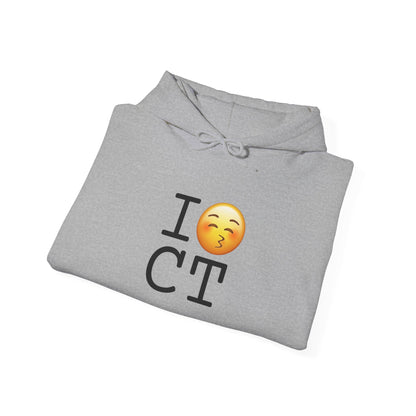 "I Kiss Connecticut" Hoodie