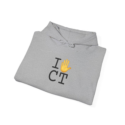 "I Stop (Raised Hand) Connecticut" Hoodie