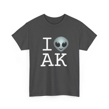 "I Feel Alien in Alaska" Tee