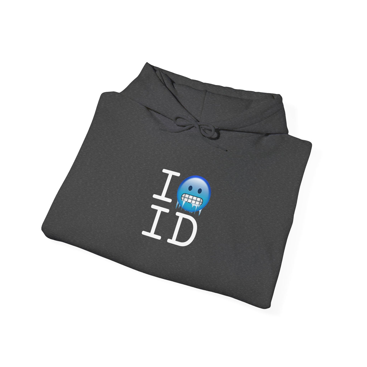 "I'm Cold in Idaho" Hoodie