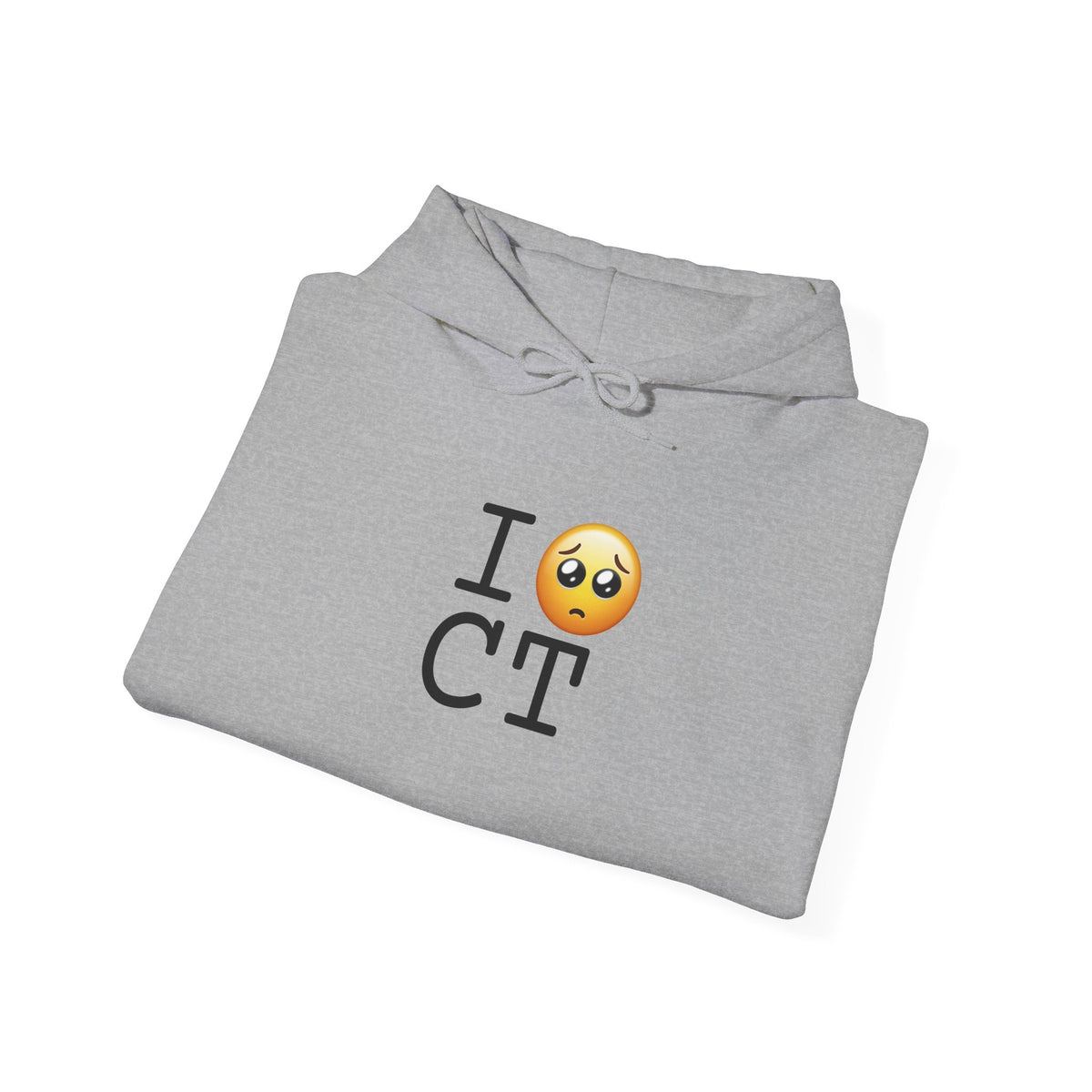"I'm Begging about Connecticut" Hoodie