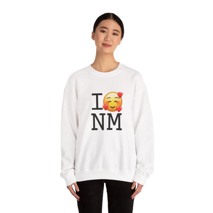 "I Adore New Mexico" Sweatshirt