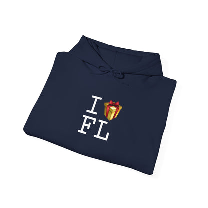 "I Present Florida" Hoodie