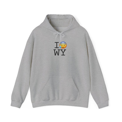 "I'm Anxiously Sweating in Wyoming" Hoodie