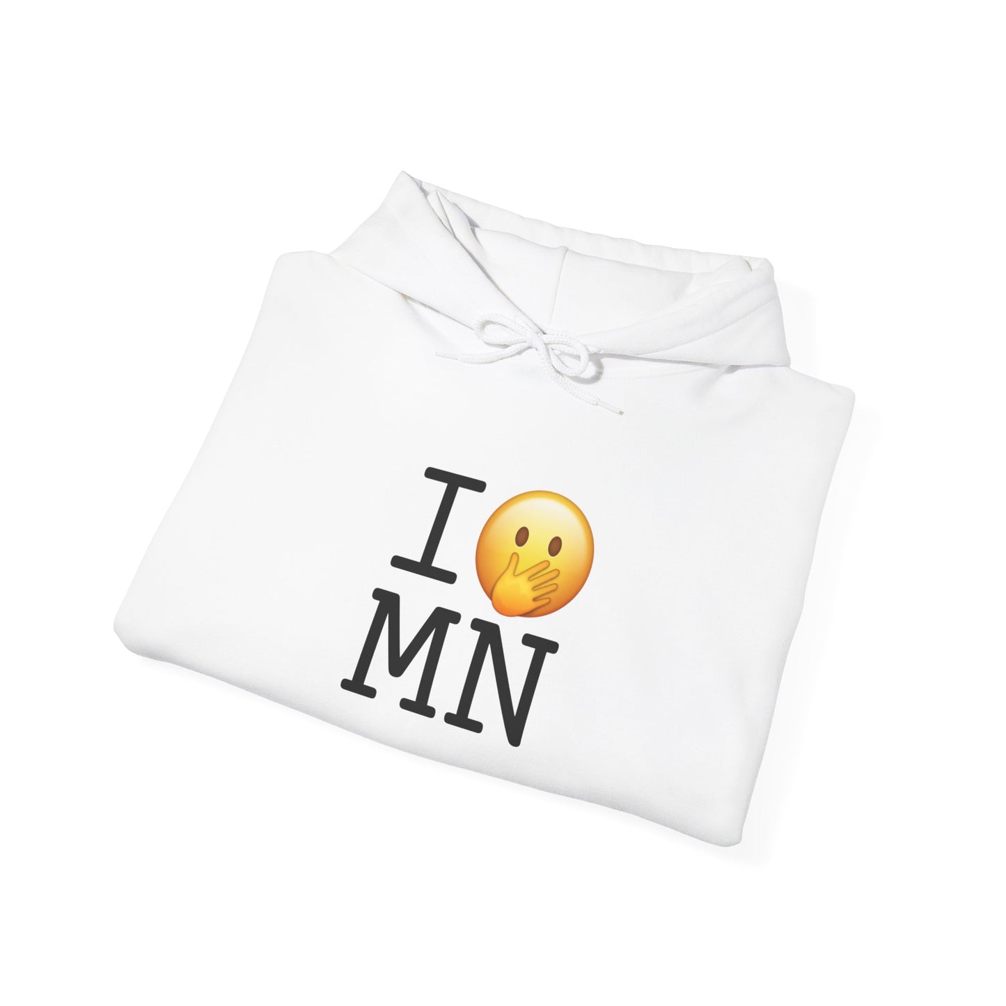"I Messed Up (Oops) in Minnesota" Hoodie