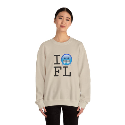 "I'm Cold in Florida" Sweatshirt