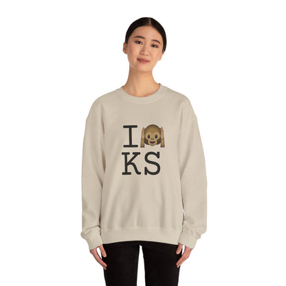 "I Don't Hear Kansas" Sweatshirt