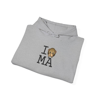 "I Don't Speak about Massachusetts" Hoodie