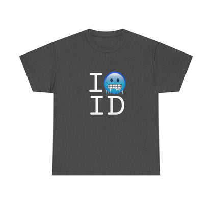 "I'm Cold in Idaho" Tee