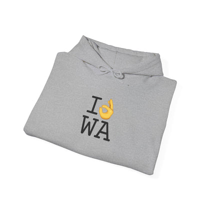 "I'm OK with Washington" Hoodie