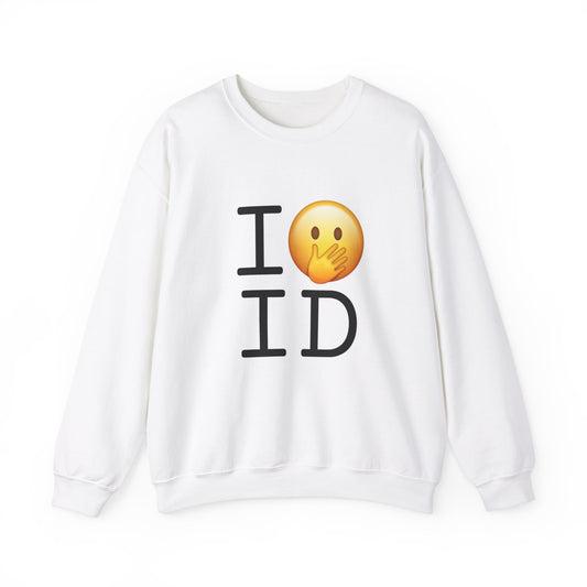 "I Messed Up (Oops) in Idaho" Sweatshirt