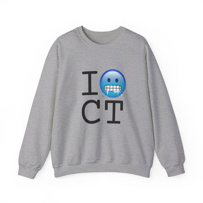 "I'm Cold in Connecticut" Sweatshirt