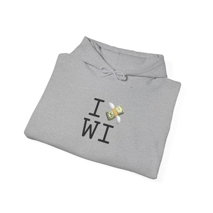 "I Lose Money in Wisconsin" Hoodie