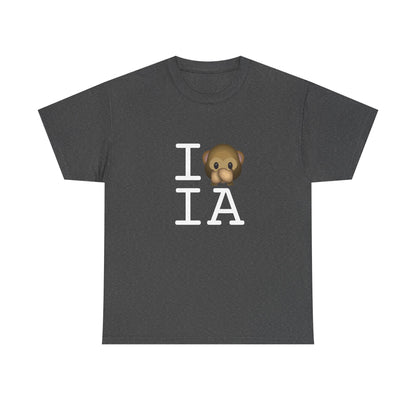 "I Don't Speak about Iowa" Tee