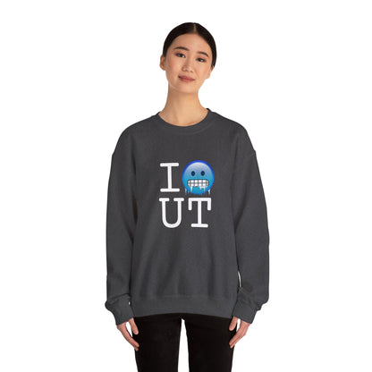 "I'm Cold in Utah" Sweatshirt
