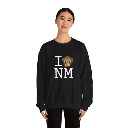 "I Don't Speak about New Mexico" Sweatshirt