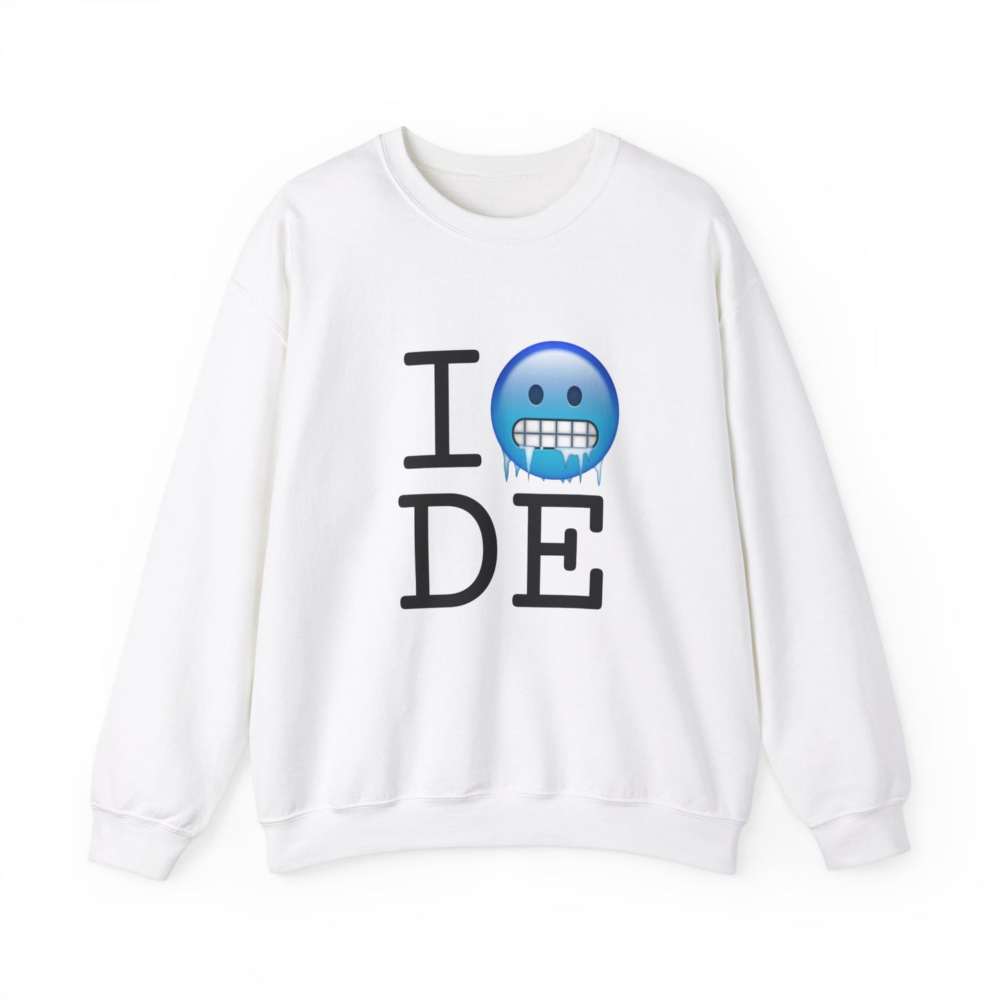 "I'm Cold in Delaware" Sweatshirt