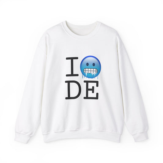 "I'm Cold in Delaware" Sweatshirt